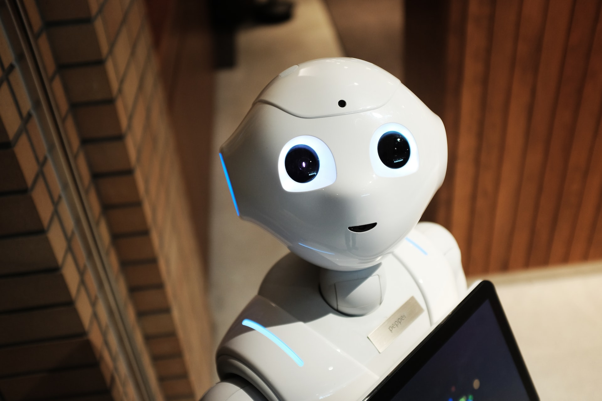 CES 2023: Future of Web Development image 4